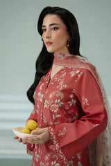 Winter 3PC DHANAK EMBROIDERED BF202