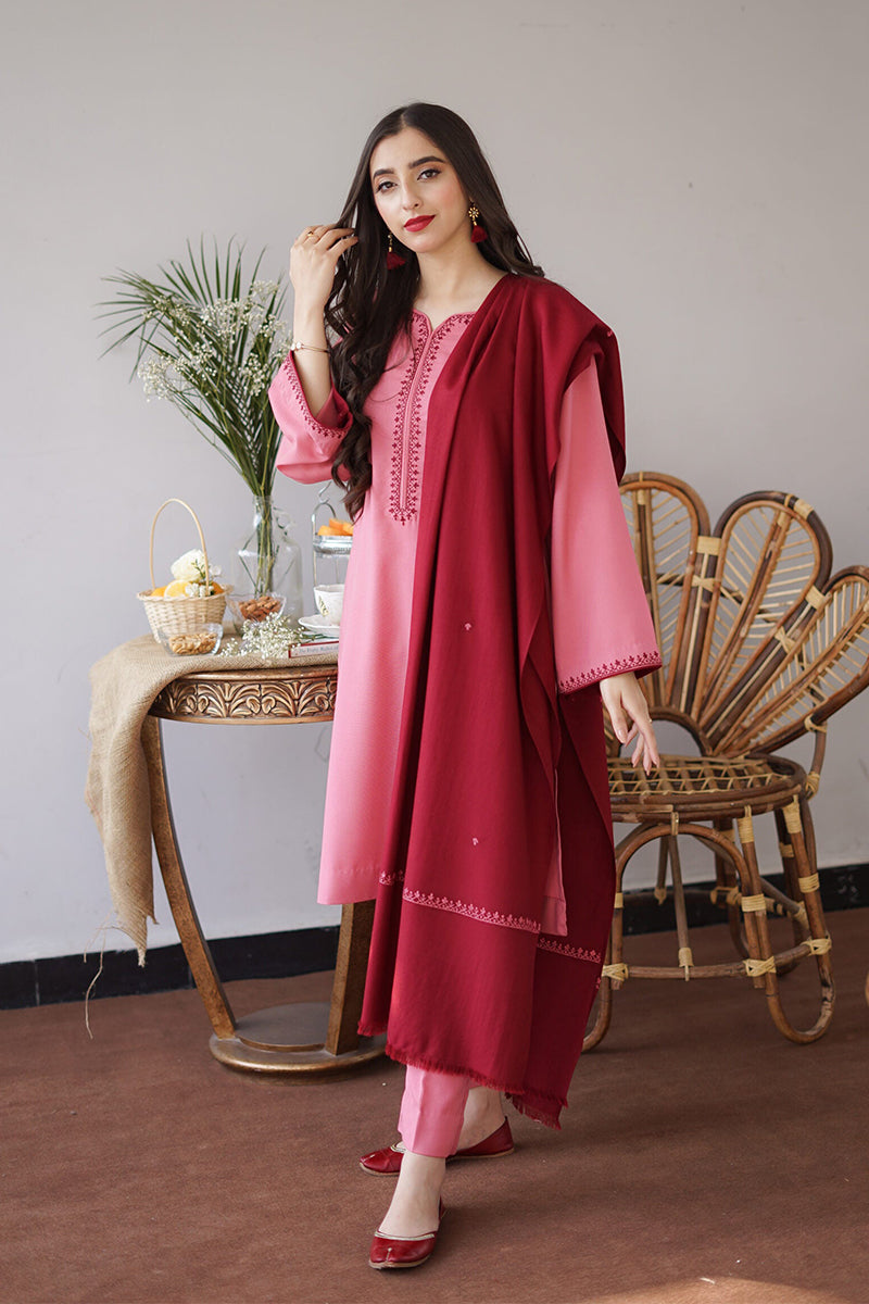 Winter 3PC DHANAK EMBROIDERED BF161